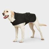 Fire Hose Dog Jacket