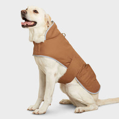 Fire Hose Dog Jacket
