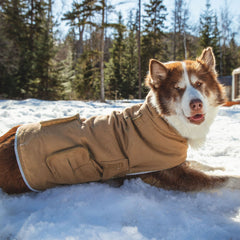 Fire Hose Dog Jacket